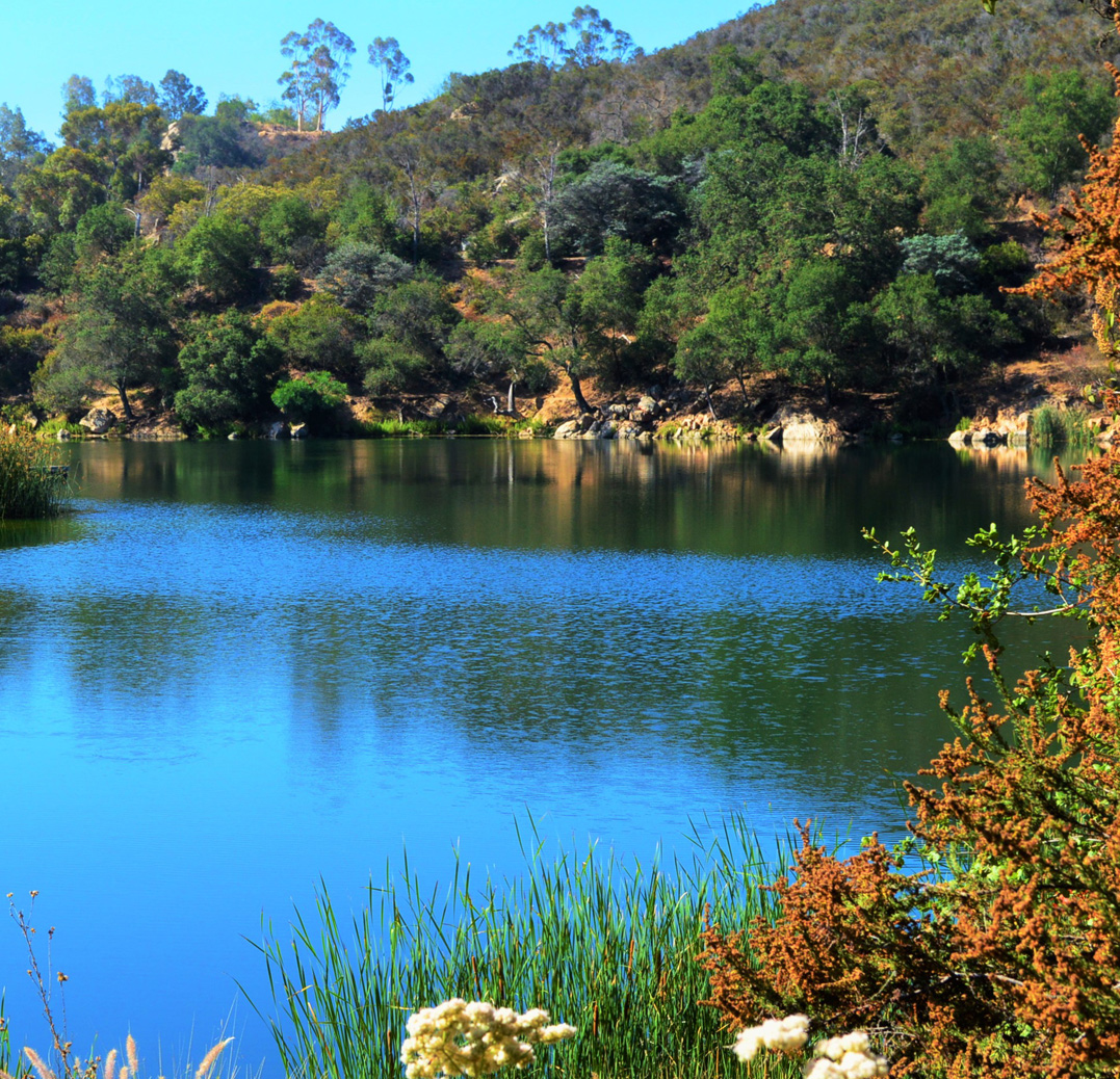 dixonlake